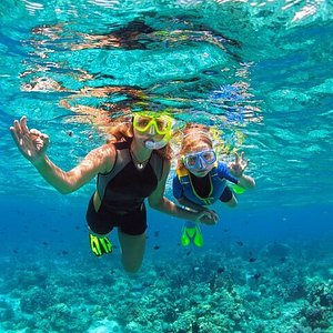 a person snorkling in the water